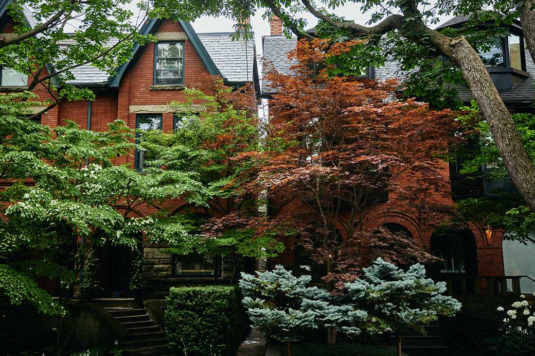 Tree-lined neighbourhood shot of Summerhill, Toronto